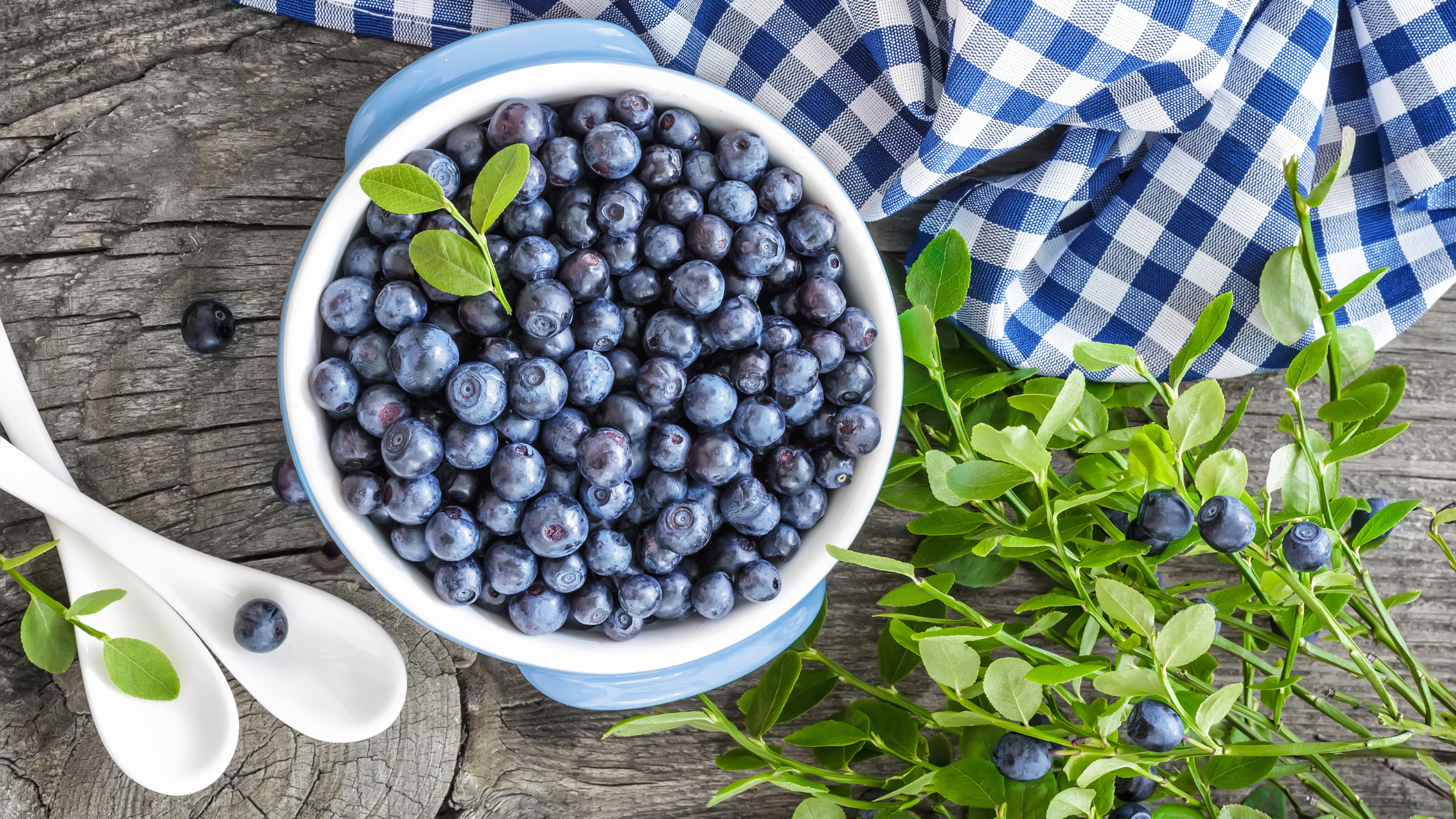 Can Blueberries Help Manage Your Blood Sugar?